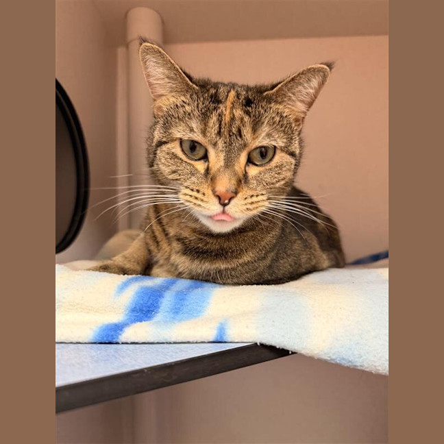 Photo of Thelma