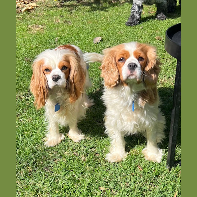 Photo of Bianca And Annie