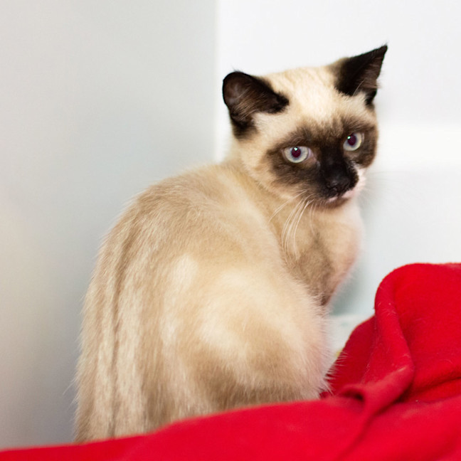 Photo of Charlie