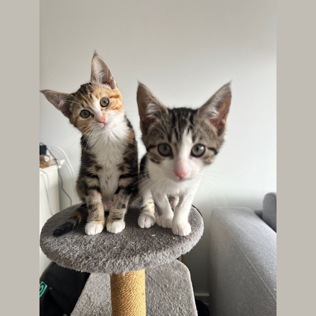 Photo of Cheri & Juni