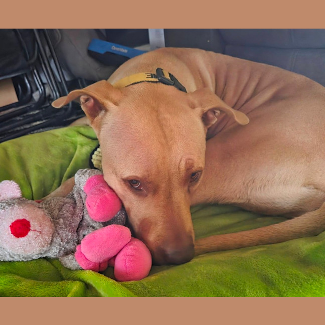Photo of Sheila