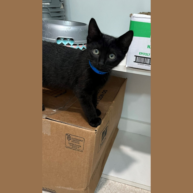 Photo of Adam (9992)