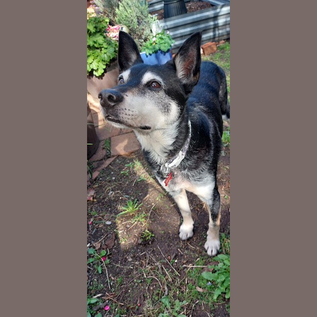 Photo of Walter