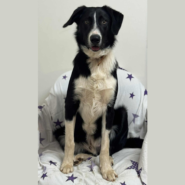 Photo of Max