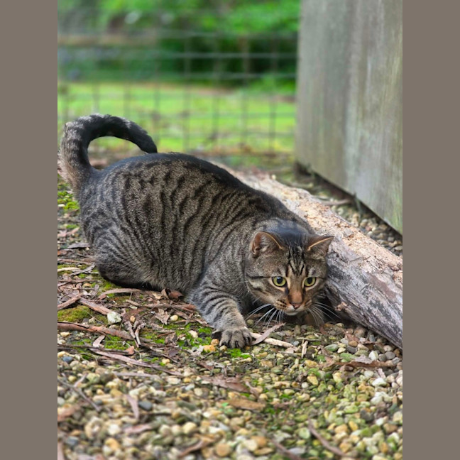 Photo of Minnie