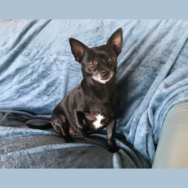 Photo of Milo & Angel