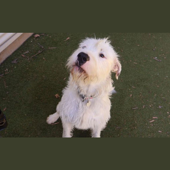 Photo of Yeti