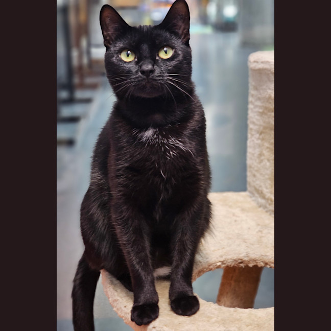 Photo of Betty