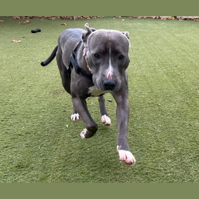 Photo of Milo
