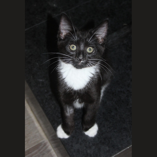 Photo of 💗 Peggy 💗