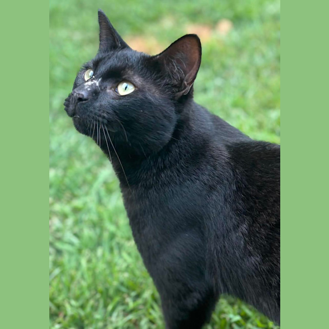 Photo of Charlie Chatterbox