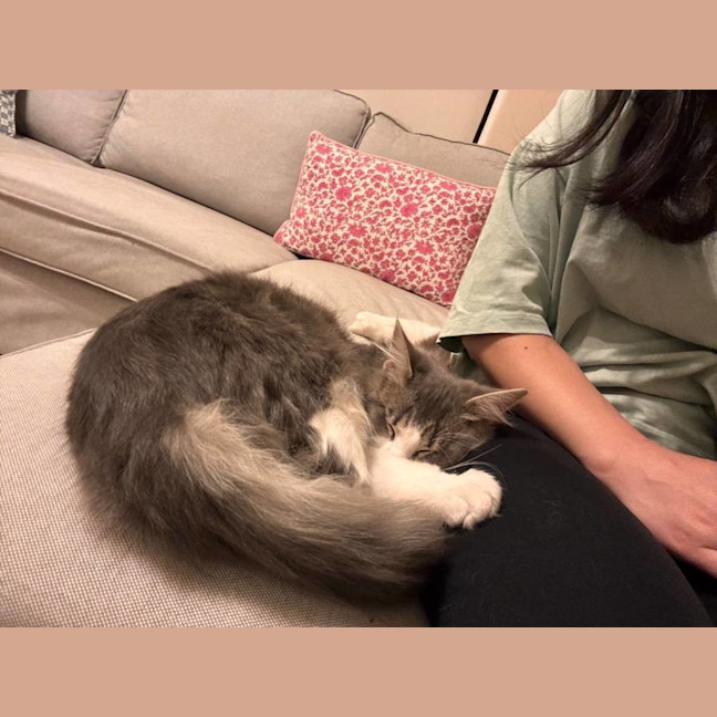Photo of Mochi & Duman