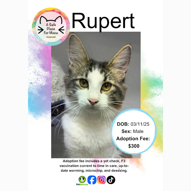 Photo of Rupert