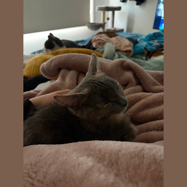 Photo of Baby & Blossom 