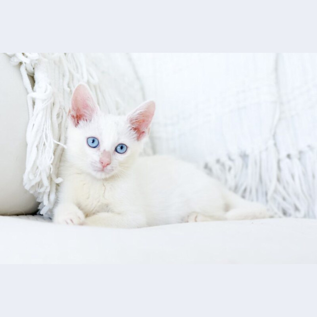 Photo of Minnie