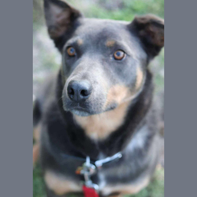 Photo of Asher