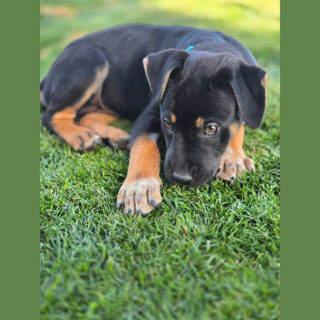 Photo of Hugo