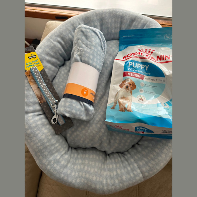 Photo of Cotton & Cloud