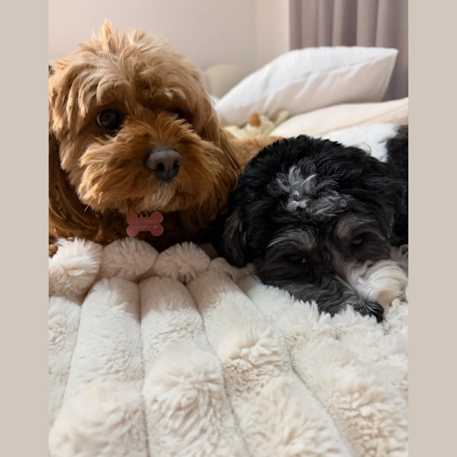 Photo of Daisy