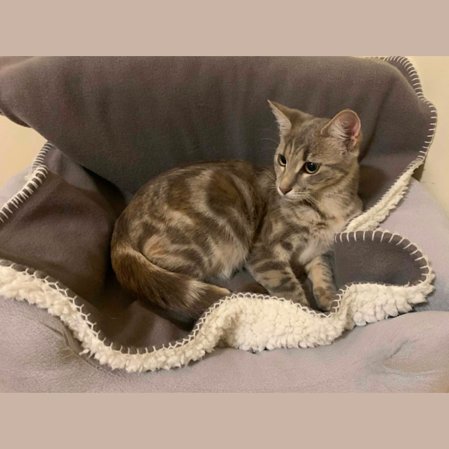 Photo of Zoe 