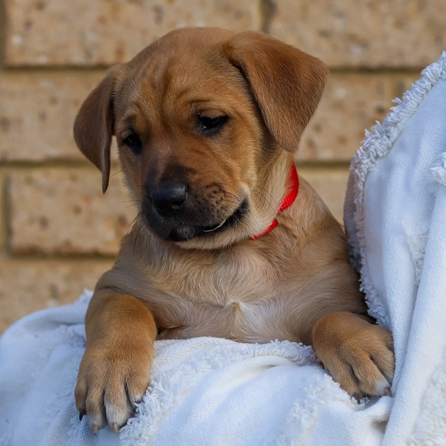Photo of Addie