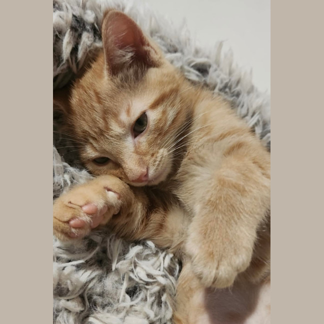 Photo of Miss Garfield 