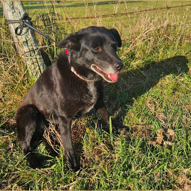 Photo of Zoe