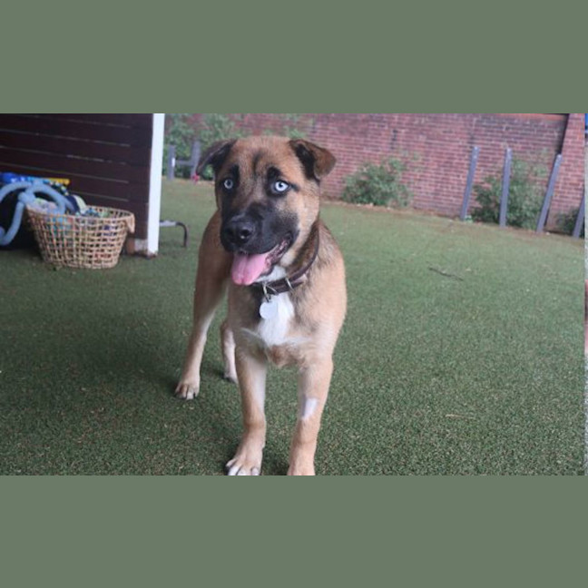 Photo of Tommy Pickles