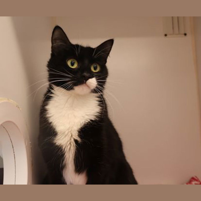 Photo of Estelle