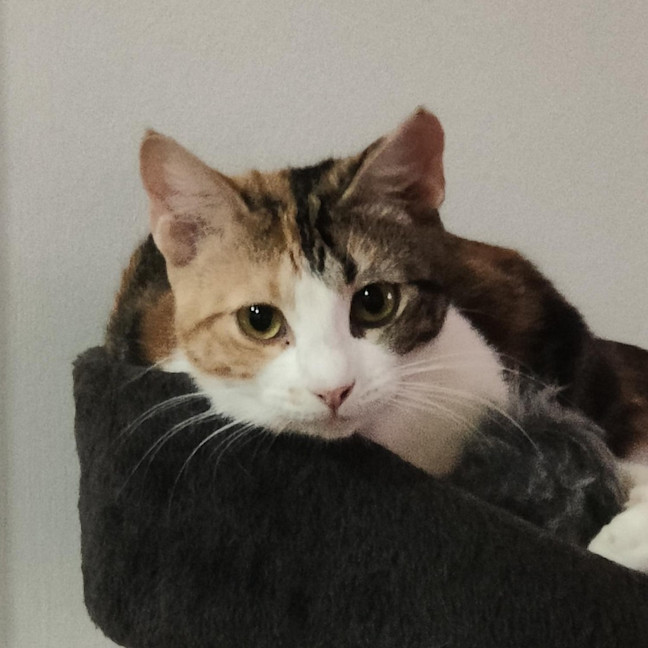 Photo of Tashi