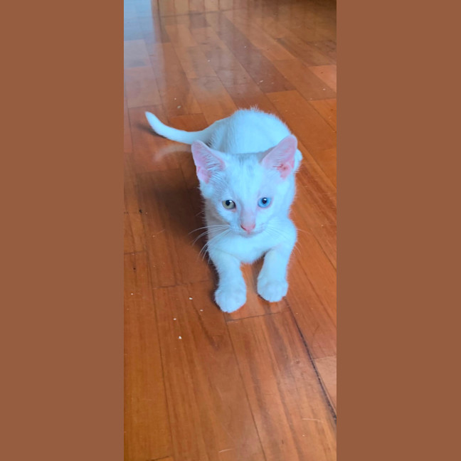 Photo of Ace 🤍🐻‍❄️🐻‍❄️