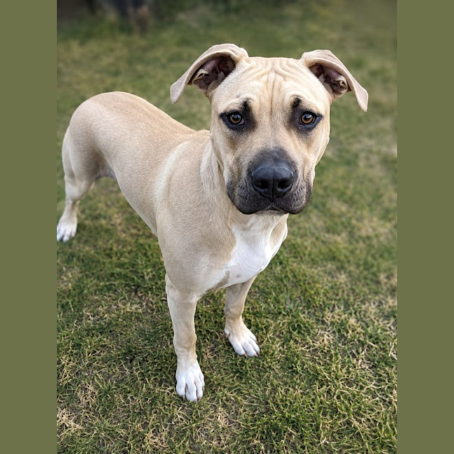 Photo of Sprocket 