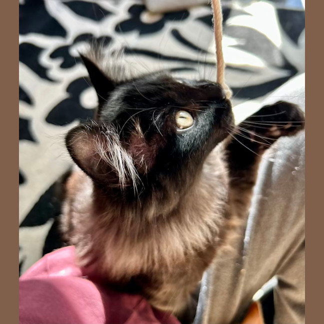 Photo of Lumos   Located In Lower Plenty