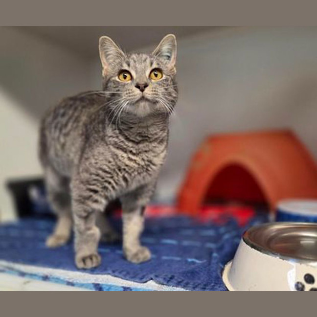 Photo of Calypso 