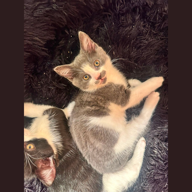 Photo of Mimi