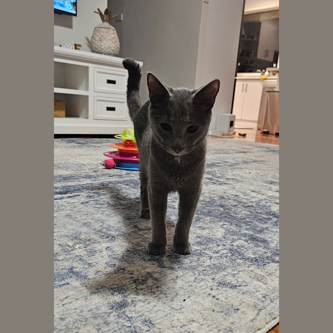 Photo of Harley