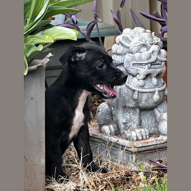 Photo of Zoe