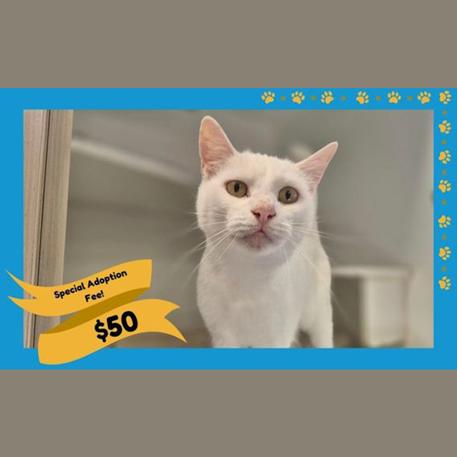 Photo of Nicky