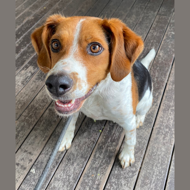 Photo of Mocca