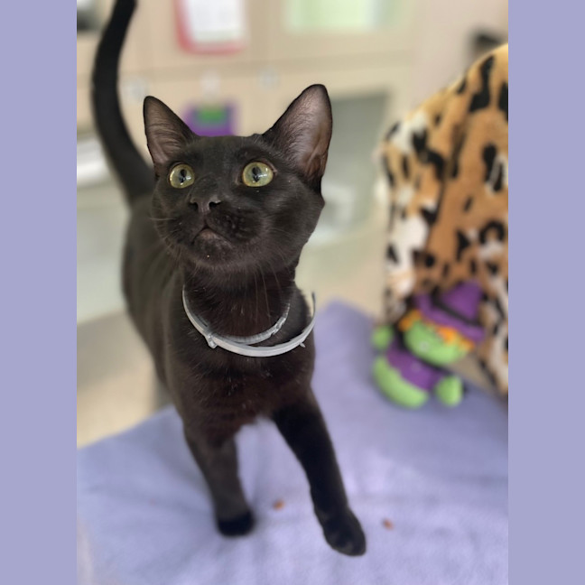 Photo of Roland (0157)