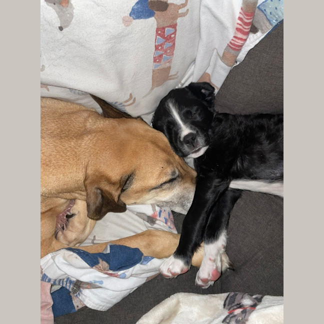 Photo of Dee Reynolds