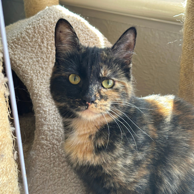 Photo of Heidi