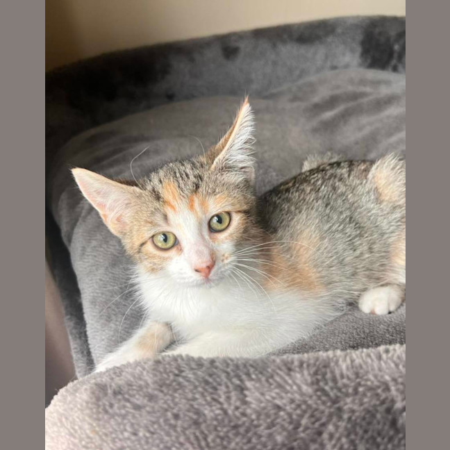 Photo of Maggie May