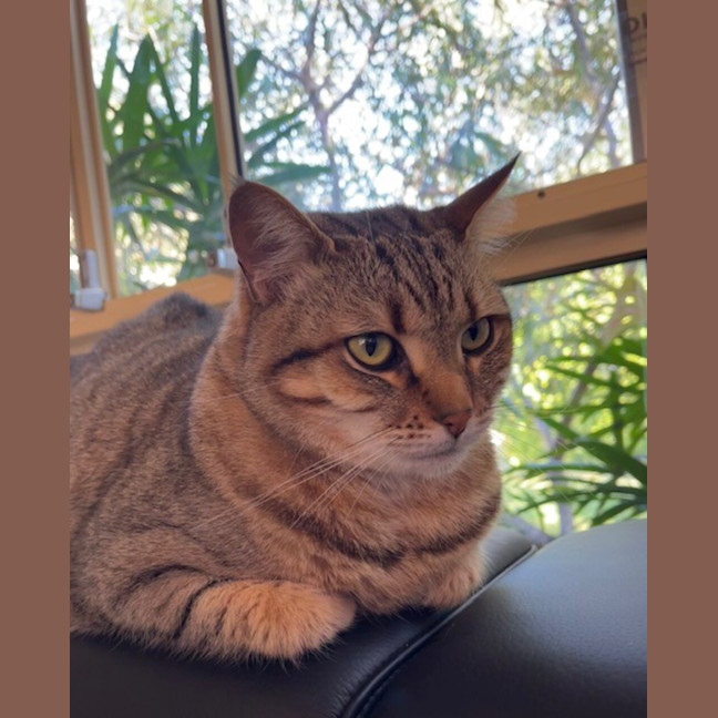 Photo of Delilah