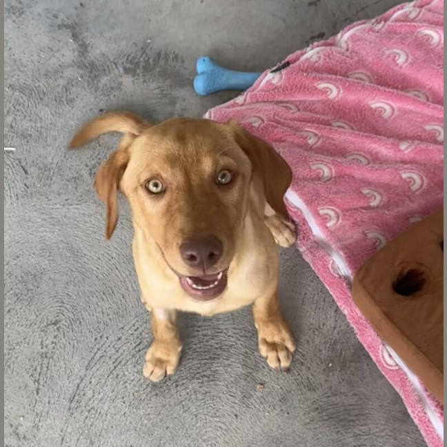 Photo of Holly