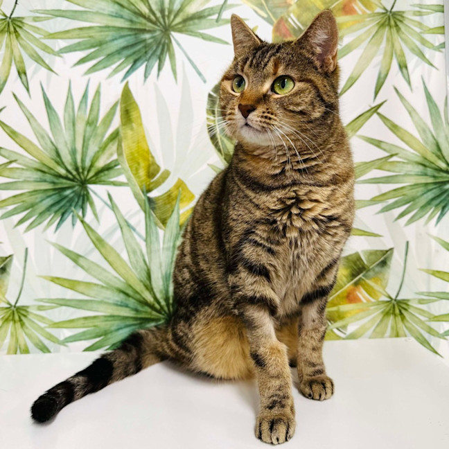 Photo of Elvina   Located In Coburg