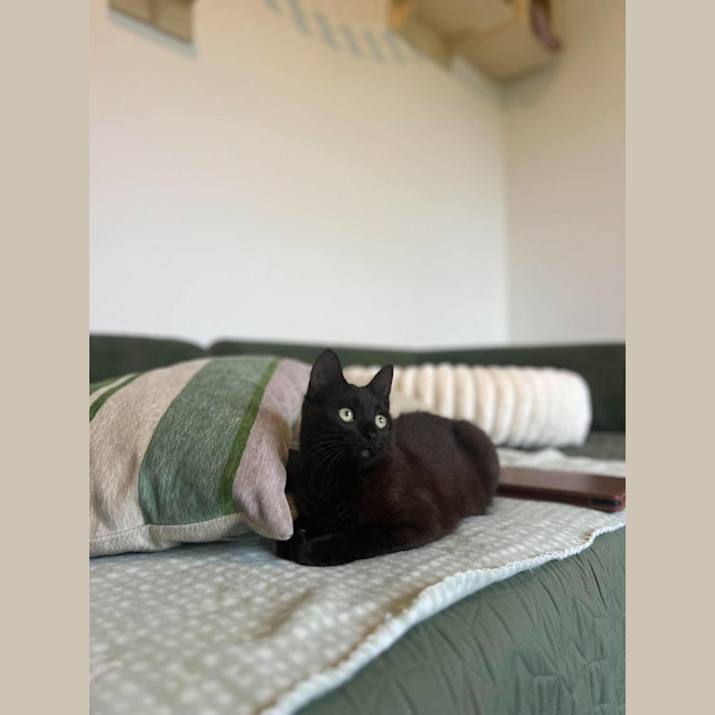 Photo of Otis