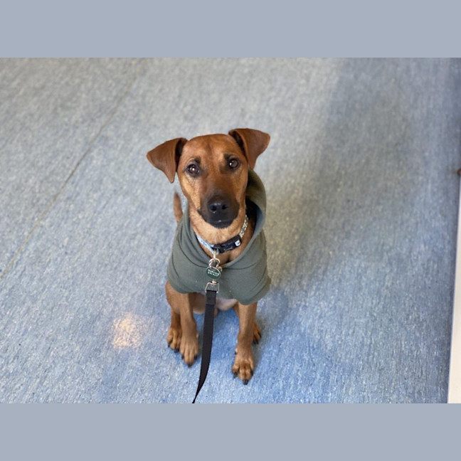 Photo of Missy Peggotty