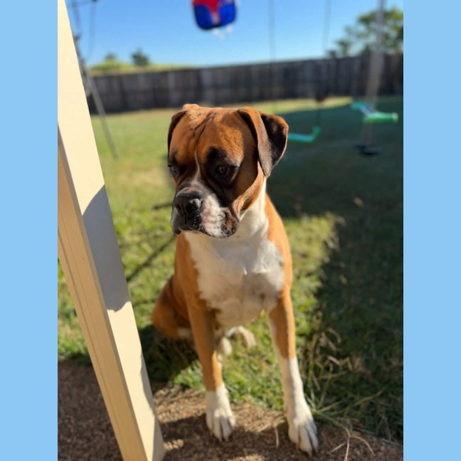 Photo of Ruben