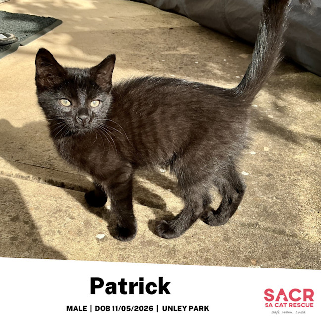 Photo of Patrick